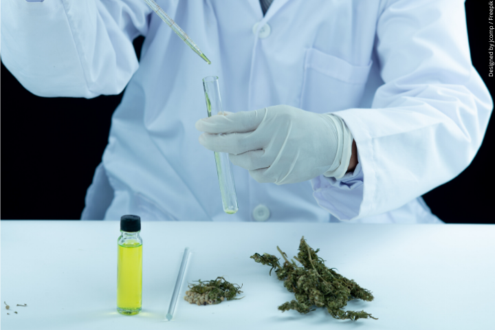 Portal Cannabis pesquisacovid farmaco